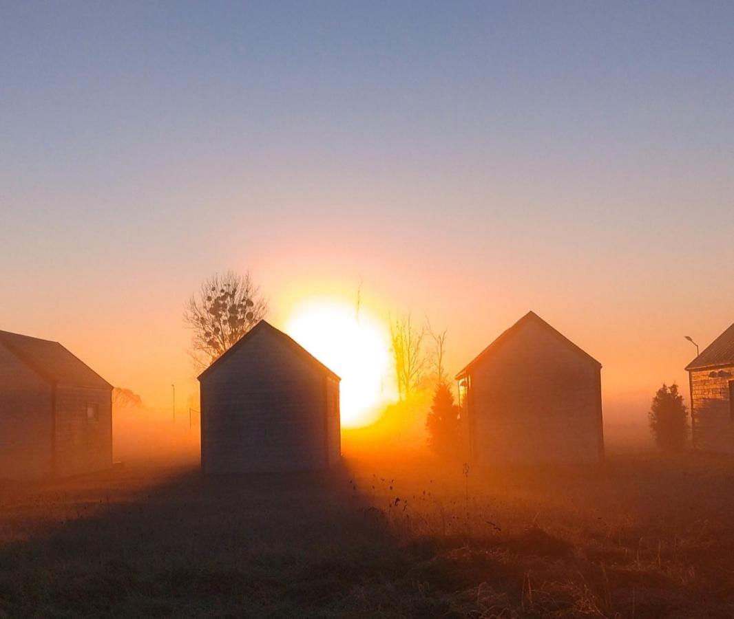 Strefa Kampinos Villa Brochów Екстериор снимка