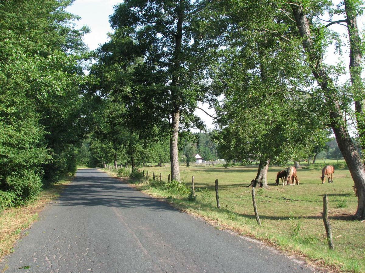 Strefa Kampinos Villa Brochów Екстериор снимка