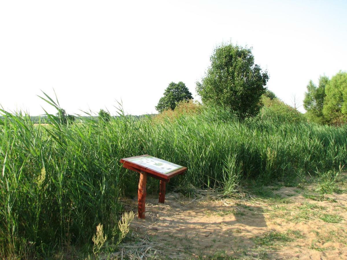Strefa Kampinos Villa Brochów Екстериор снимка