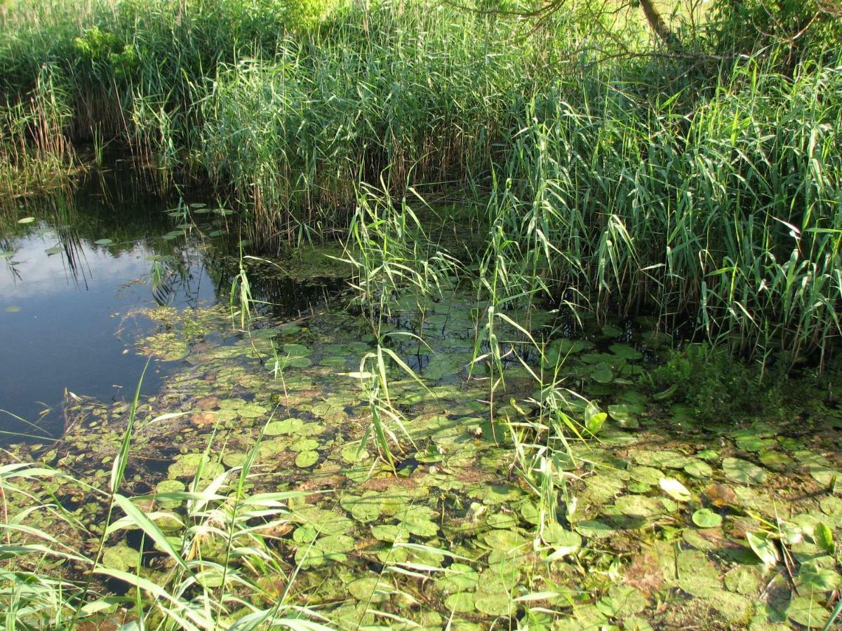 Strefa Kampinos Villa Brochów Екстериор снимка