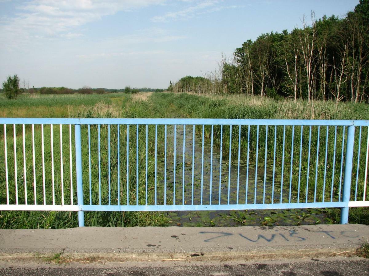 Strefa Kampinos Villa Brochów Екстериор снимка