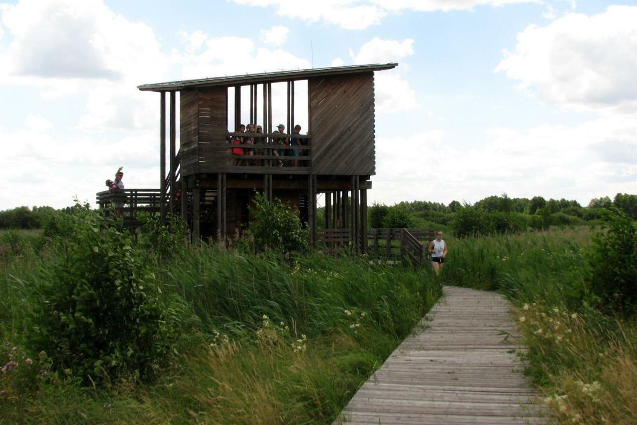Strefa Kampinos Villa Brochów Екстериор снимка